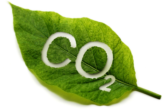 Mercato Koel Vries & Klimaattechniek CO2 